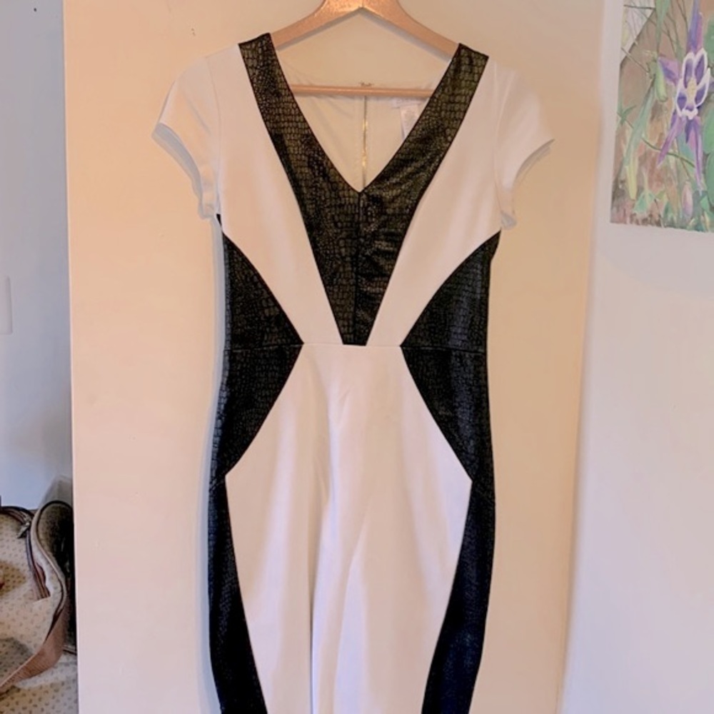 Cache black and white dress size 4